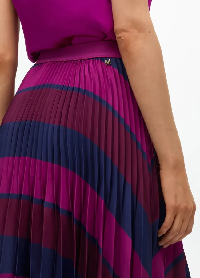 Striped printed pleated skirt