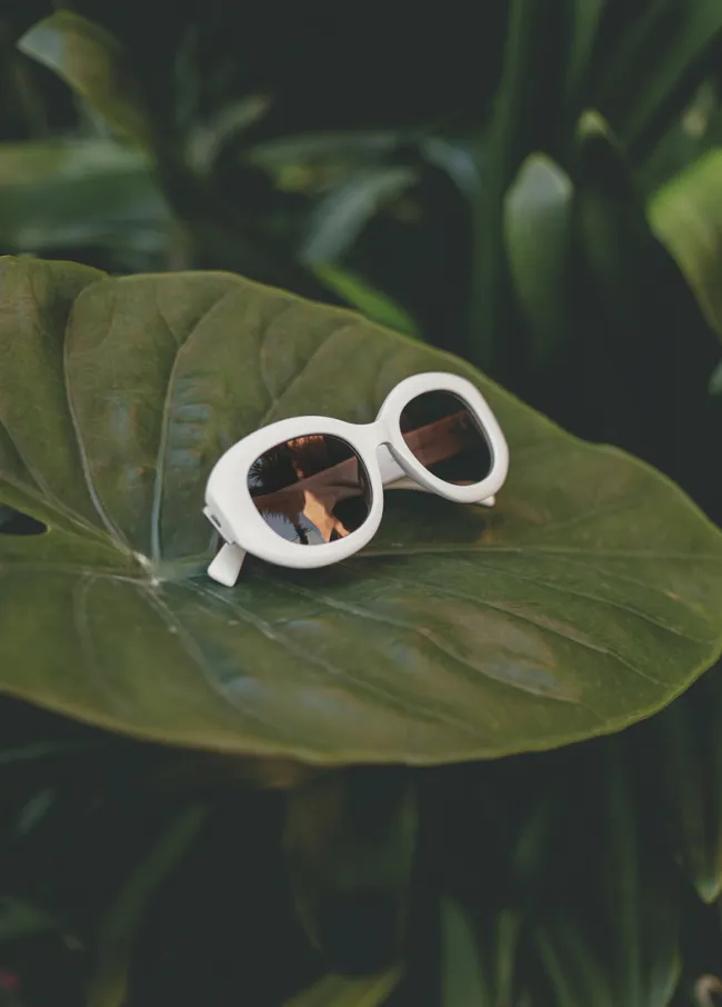 Round sunglasses with leopard logo